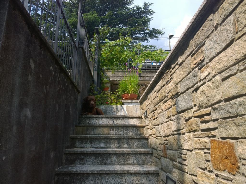 Venanzio! Appartement Pianello Del Lario Buitenkant foto