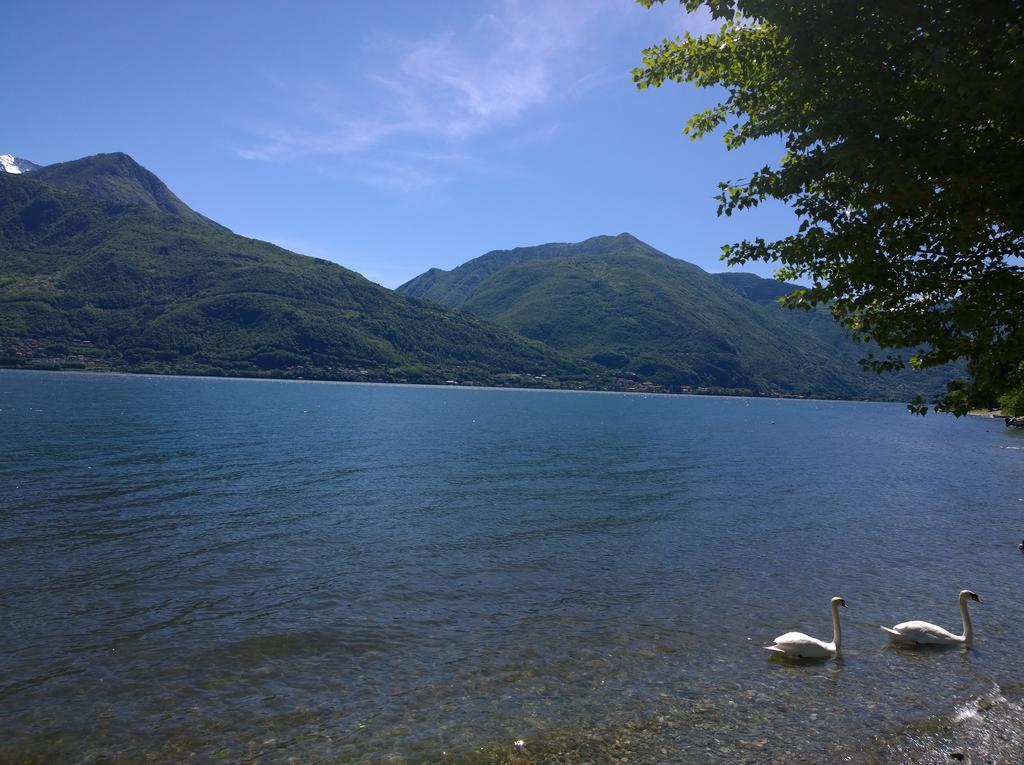 Venanzio! Appartement Pianello Del Lario Buitenkant foto